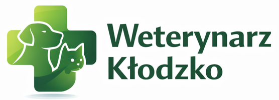 Weterynarz Kłodzko